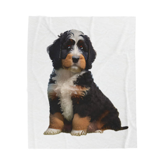 Bernedoodle Puppy Velveteen Plush Blanket, Tri Color, 3 Sizes - Cozy and Cute Home Decor, Gift for Dog Lovers - Throw Blanket, Bedding, Pet