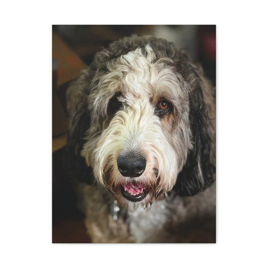 Personalized Pet Portrait Canvas Print - Stretched Matte Artwork | Perfect Doodle Gift for Holidays, Him & Her