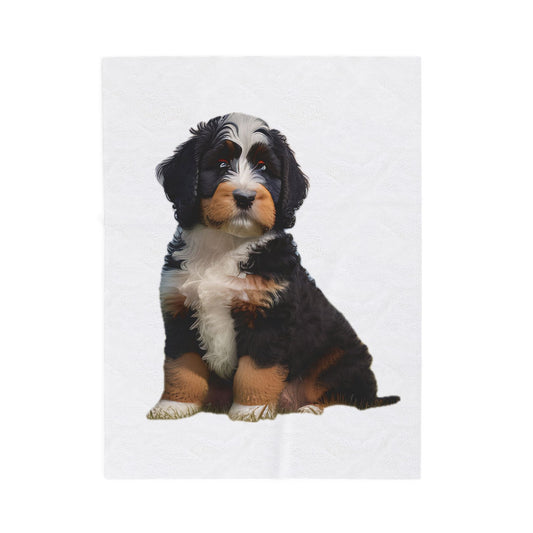 Bernedoodle Puppy Velveteen Plush Blanket, Tri Color, 3 Sizes - Cozy and Cute Home Decor, Gift for Dog Lovers - Throw Blanket, Bedding, Pet